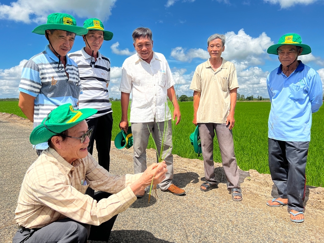 Doanh nghiệp phân bón khuyến cáo nông dân bón ít hơn và câu chuyện phát triển nông nghiệp bền vững vùng Đồng bằng Sông Cửu Long- Ảnh 3.