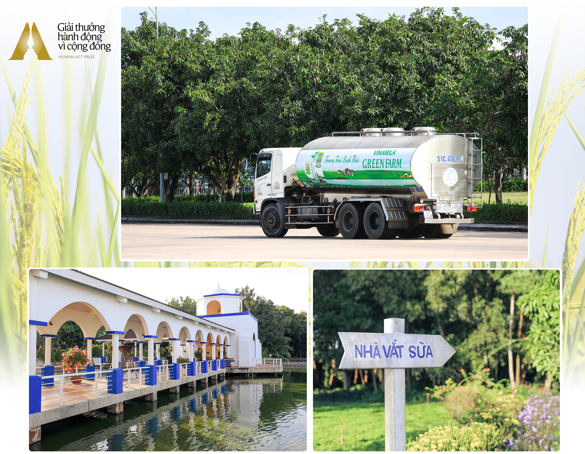 Đằng sau những đồi phân bò không mùi, siêu nhà máy ‘Tự cung tự cấp’ năng lượng của Vinamilk- Ảnh 9.