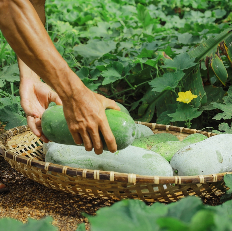 Nơi đặc biệt bên bờ Vịnh Ninh Vân: Mỗi trải nghiệm là một hành động 'đáp đền' Mẹ Thiên Nhiên- Ảnh 5.