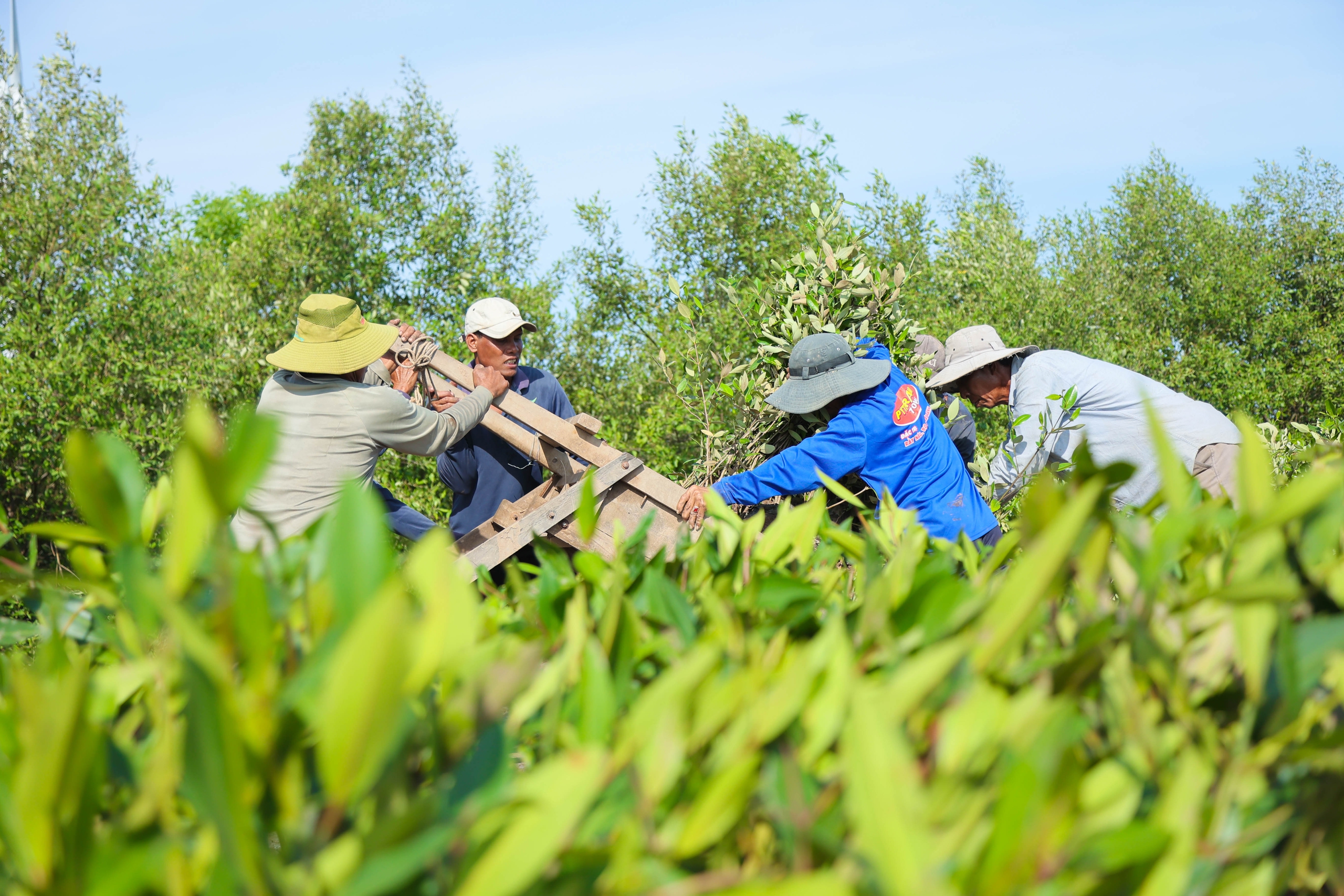 GIAO HƯỞNG RỪNG XANH- Ảnh 4.