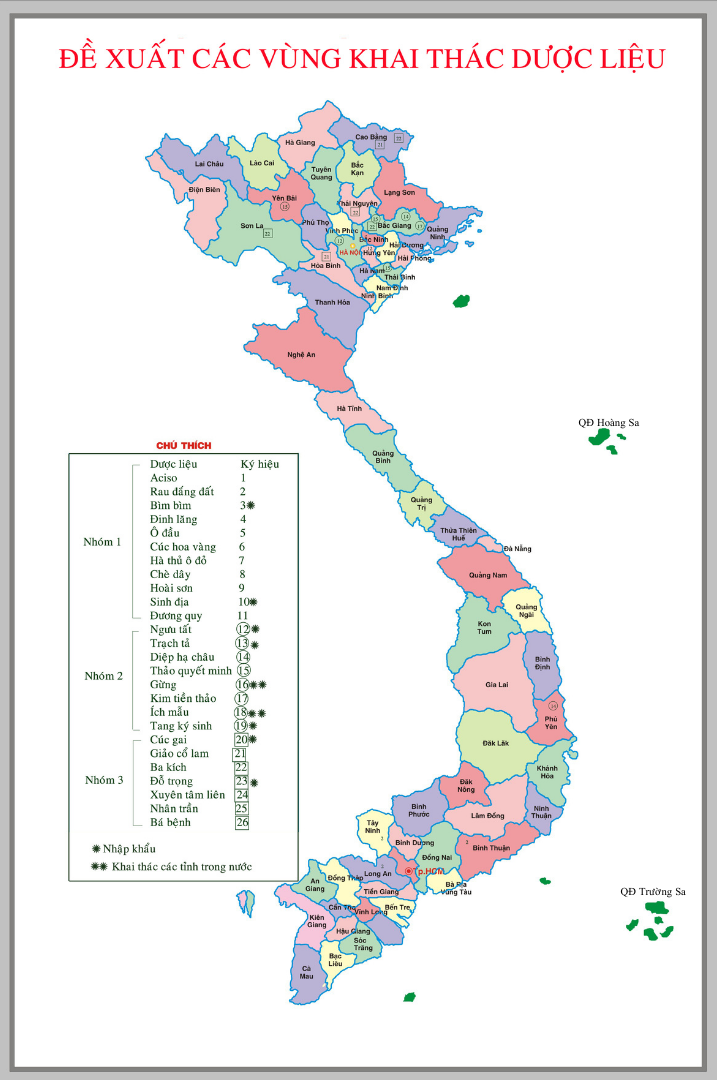 Dự án Traphaco GreenPlan - Mở rộng những miền xanh- Ảnh 3.