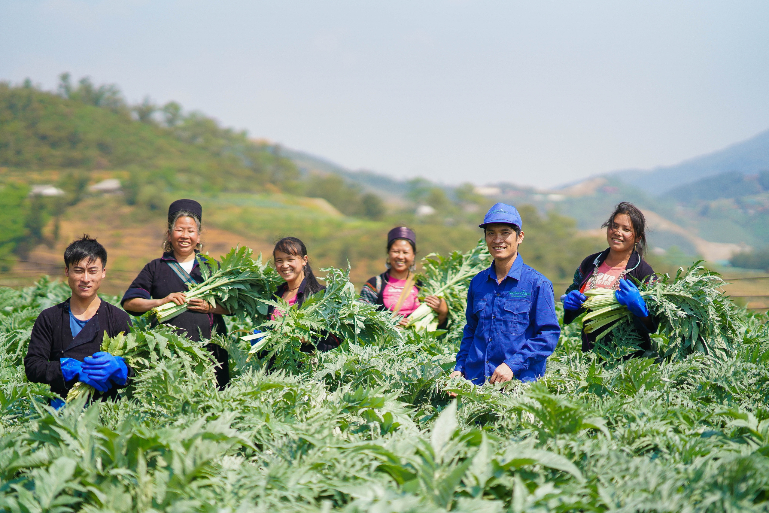 Dự án Traphaco GreenPlan - Mở rộng những miền xanh- Ảnh 2.