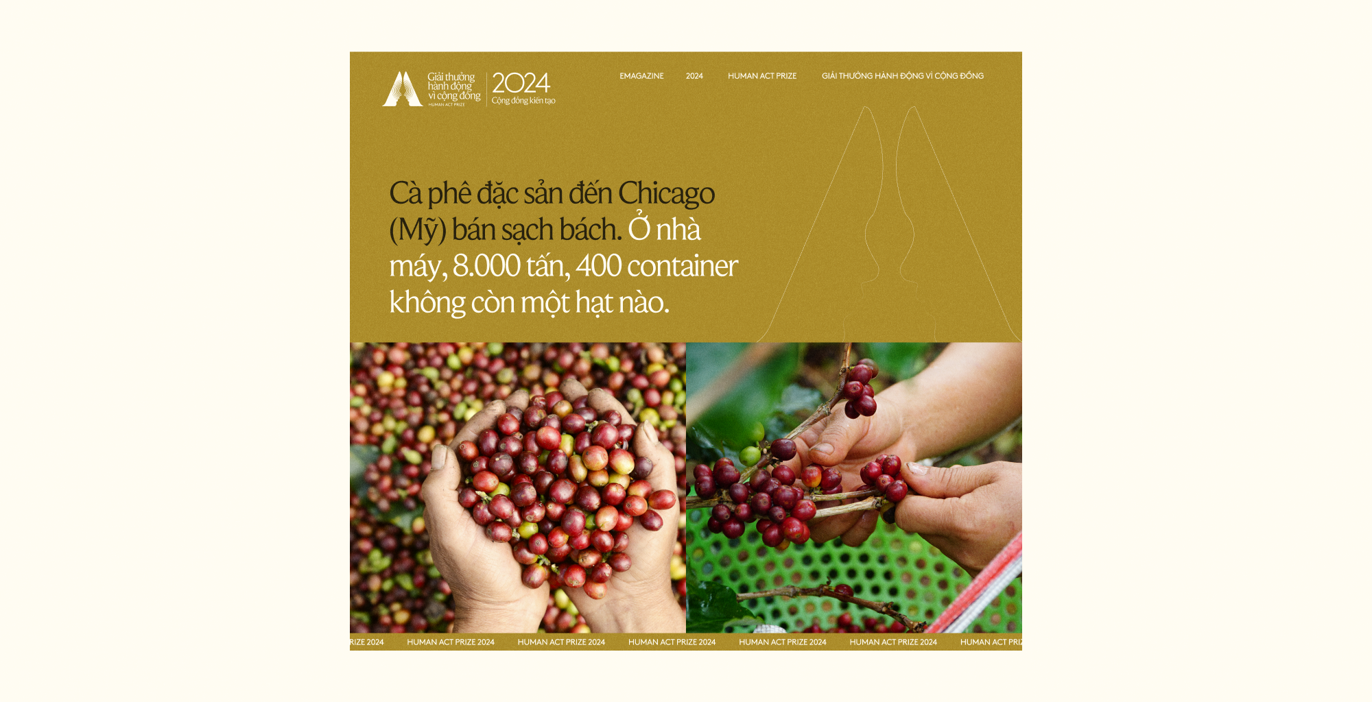 Nhà máy cà phê “đẹp nhất thế giới” ở Sơn La và người từ chối cơ hội kiếm hàng triệu USD từ đất Phú Mỹ Hưng- Ảnh 10.