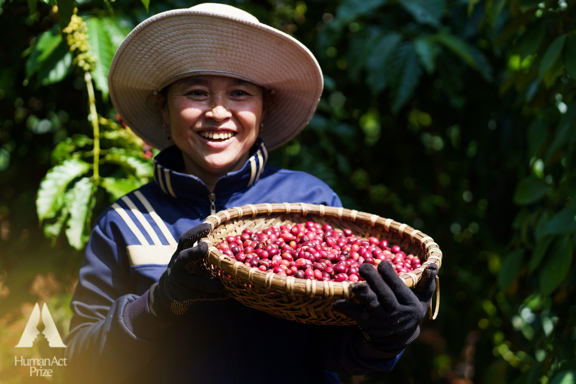 Việt Nam có mô hình độc đáo giúp đất hồi sinh, nông dân thu tiền tỷ từ giống cây "tốt nhất thế giới"- Ảnh 5. Việt Nam có mô hình độc đáo giúp đất hồi sinh, nông dân thu tiền tỷ từ giống cây "tốt nhất thế giới"- Ảnh 5.