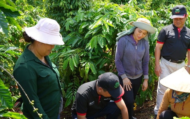 Việt Nam có mô hình độc đáo giúp đất hồi sinh, nông dân thu tiền tỷ từ giống cây "tốt nhất thế giới"- Ảnh 1.