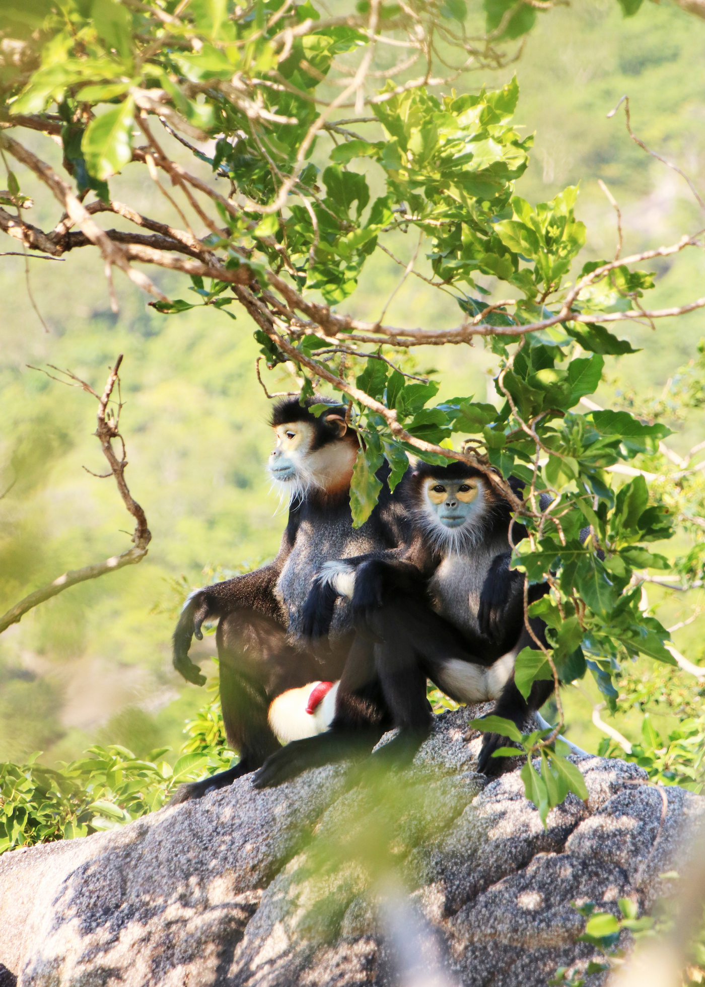 Six Senses Ninh Van Bay Sustainability Fund - Quỹ phát triển bền vững Six Senses Ninh Vân Bay (QPTBV)- Ảnh 7.