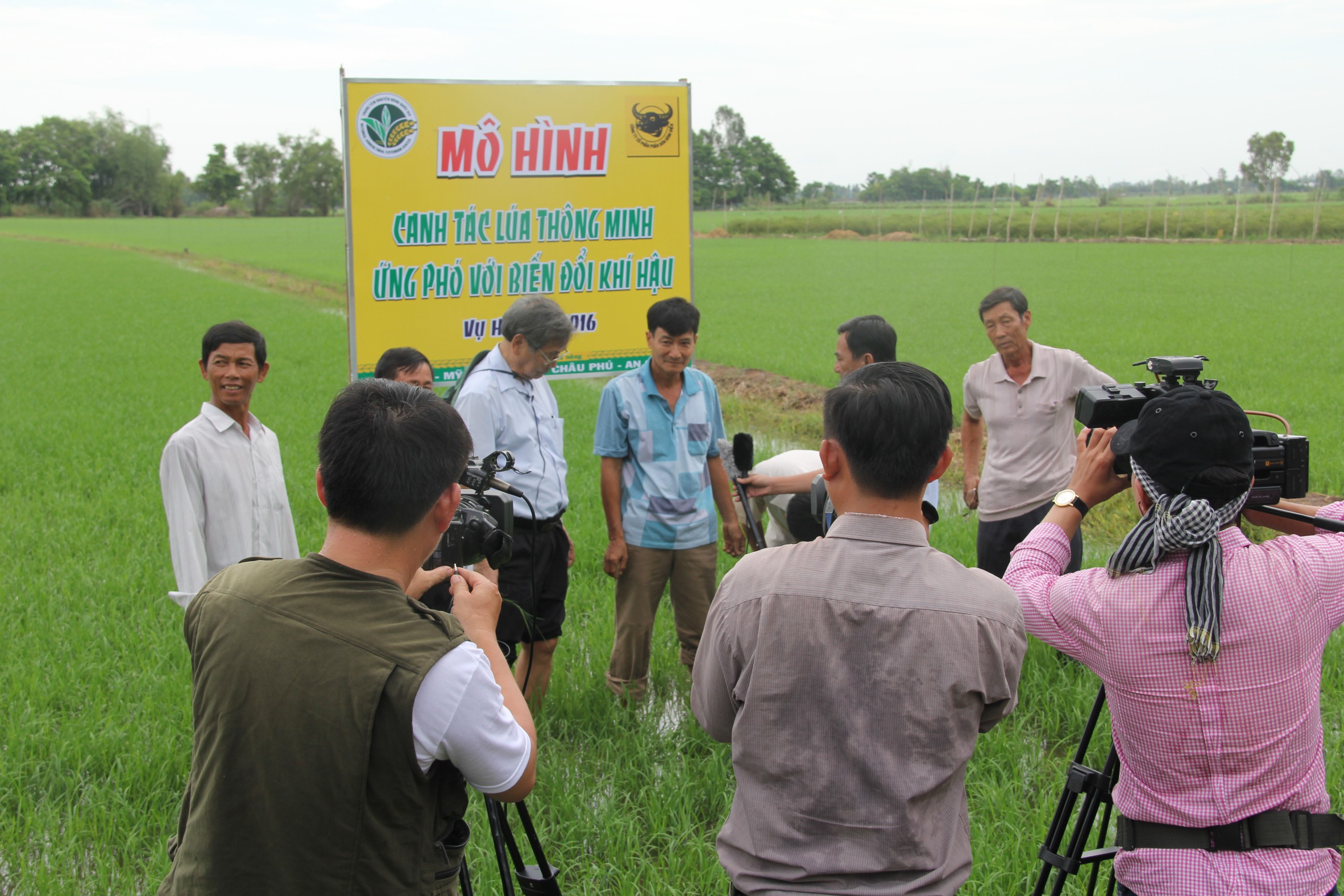Canh tác lúa thông minh thích ứng với biến đổi khí hậu vùng ĐBSCL- Ảnh 7.