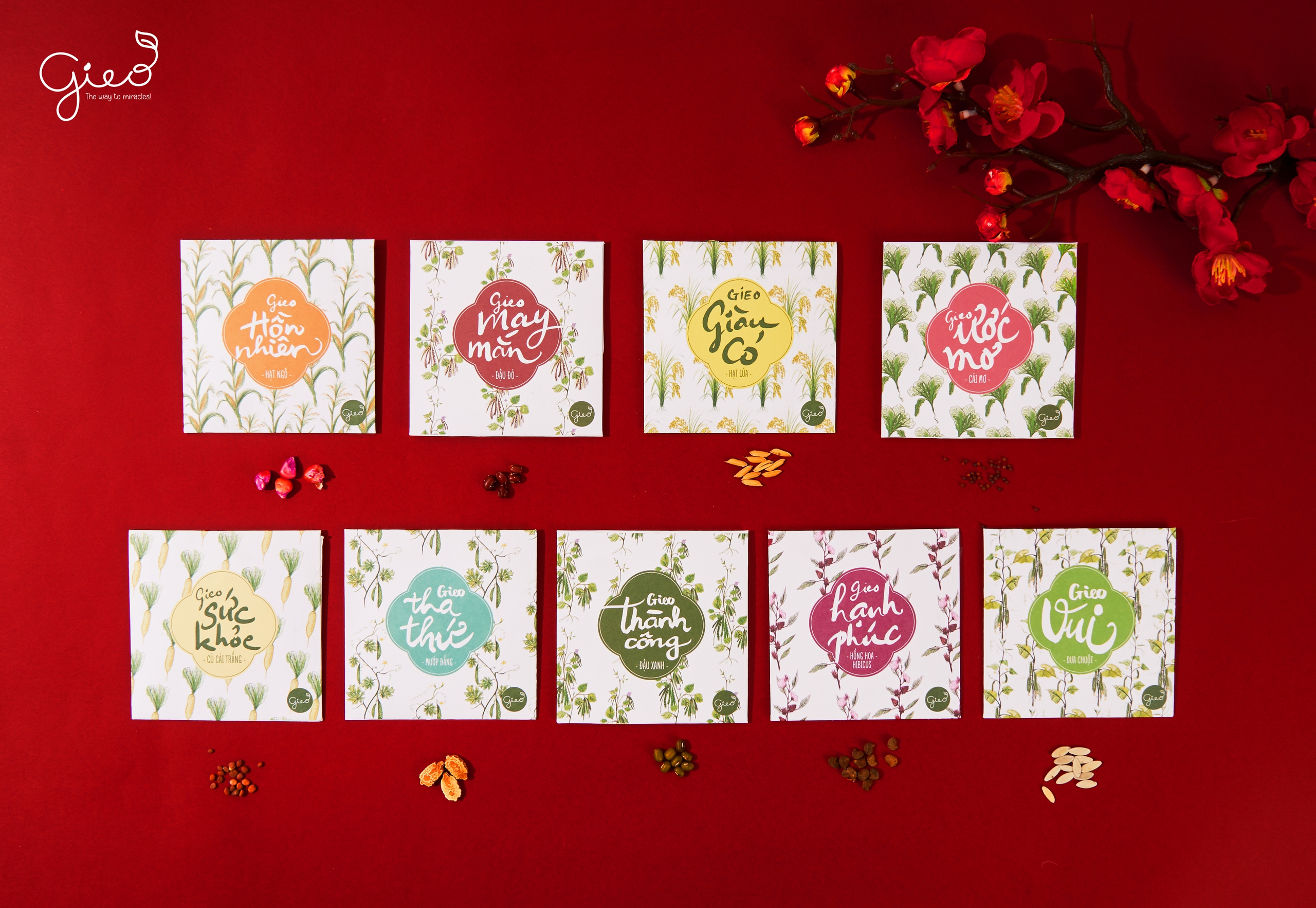 LÌ XÌ HẠT GIỐNG - Ảnh 8.