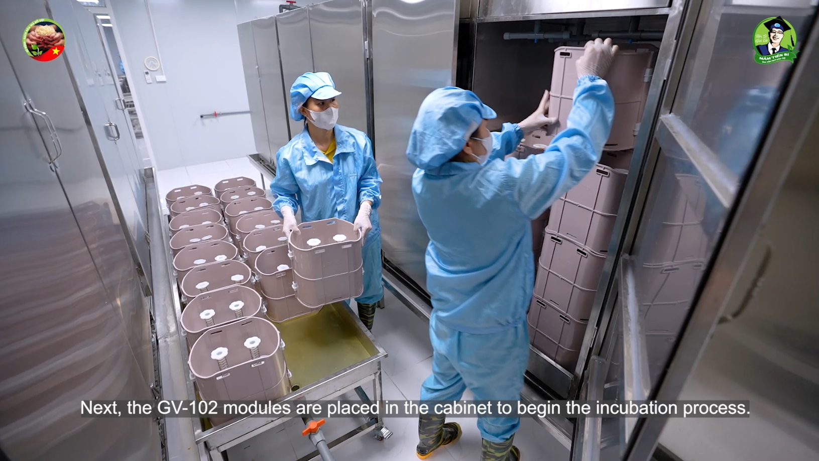 Sạch hoá giá đỗ Việt - Ảnh 15.