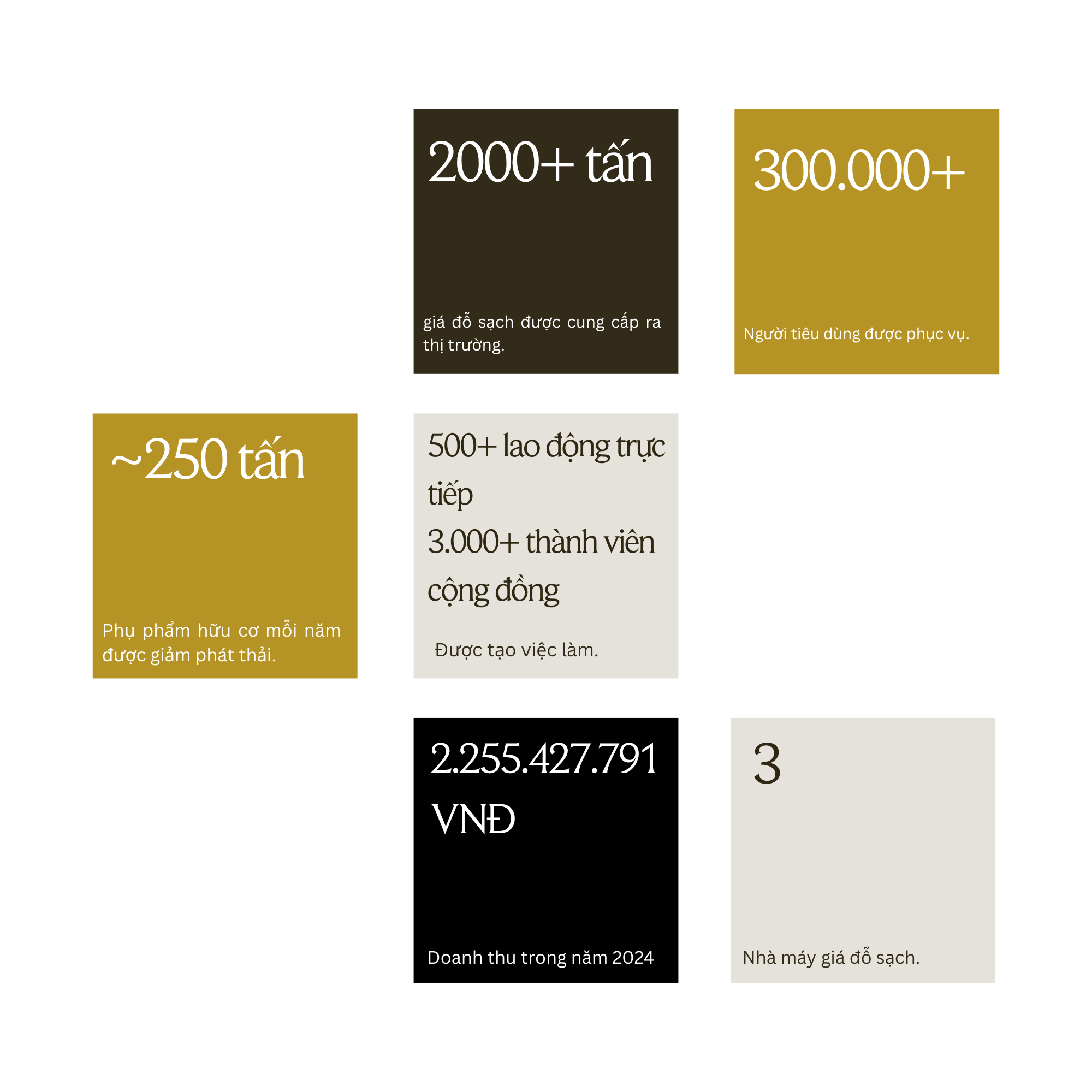 Sạch hoá giá đỗ Việt - Ảnh 13.