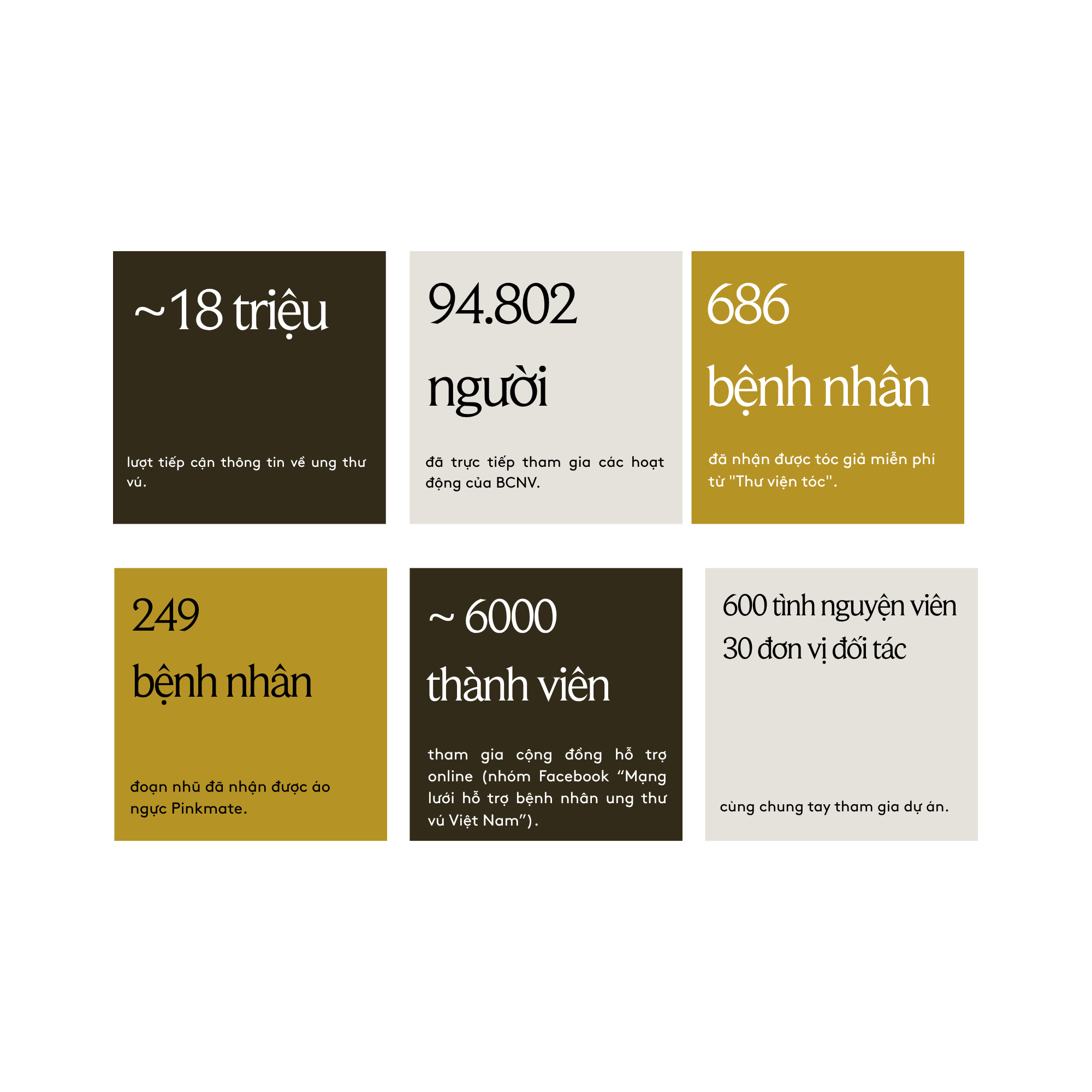 THƯ VIỆN TÓC - Ảnh 9.