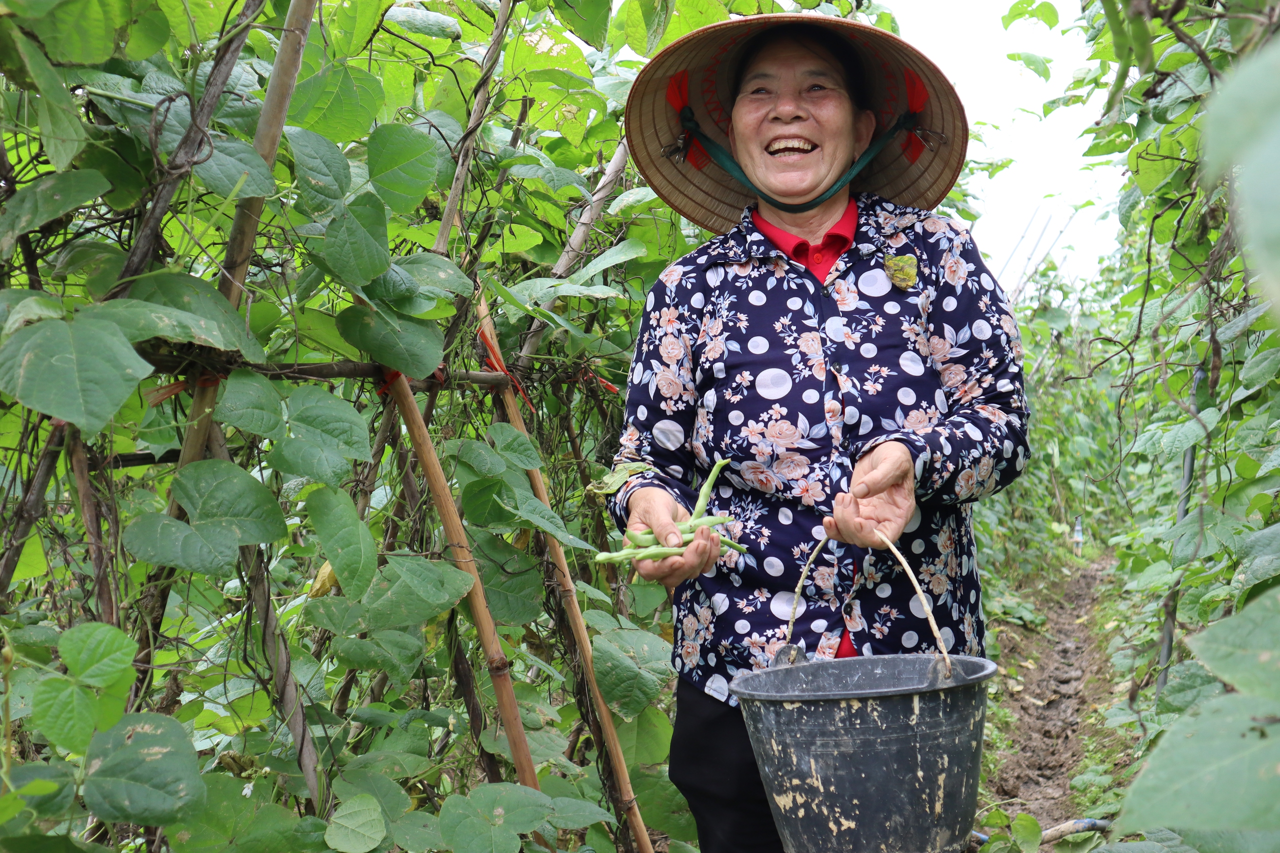 Câu lạc bộ Liên thế hệ Tự giúp nhau - Ảnh 14.