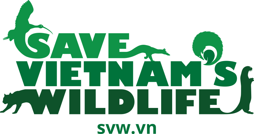 CHƯƠNG TRÌNH CỨU HỘ VÀ BẢO TỒN TÊ TÊ - Ảnh 17.