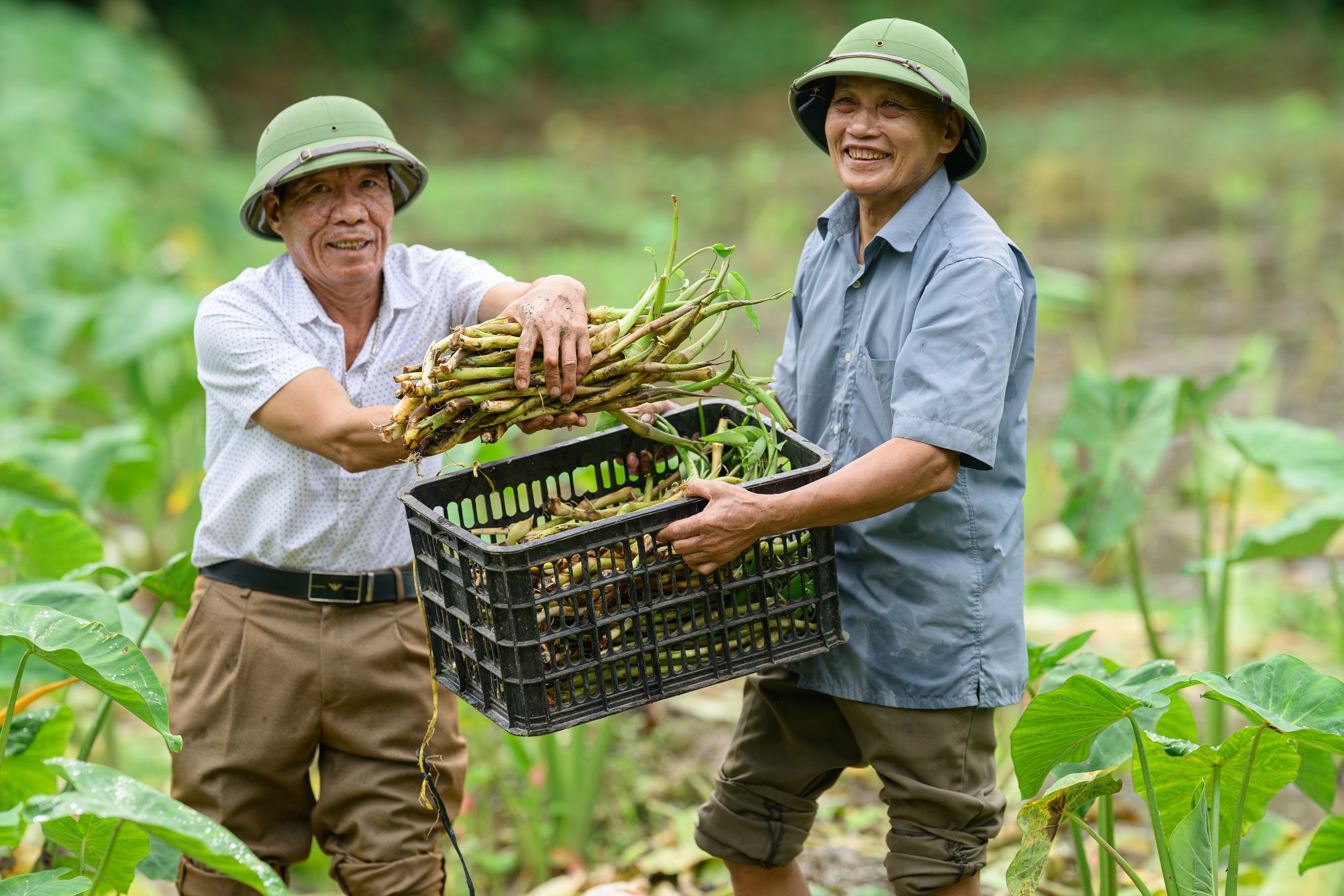 Câu lạc bộ Liên thế hệ Tự giúp nhau - Ảnh 13.