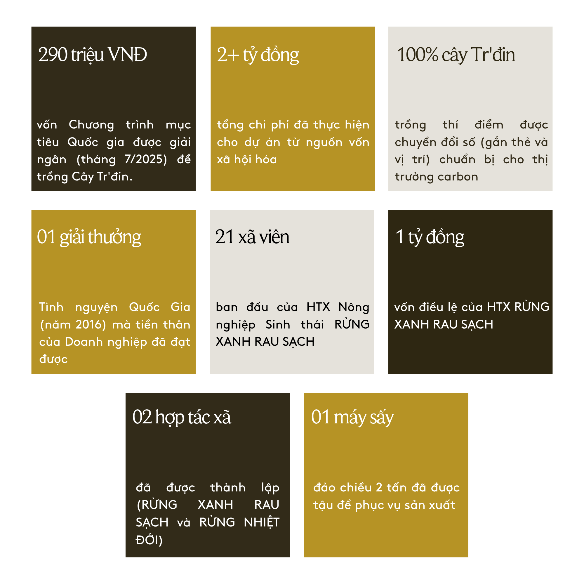 Chất Tạo Ngọt Tự Nhiên Tr"đin - Ảnh 3.