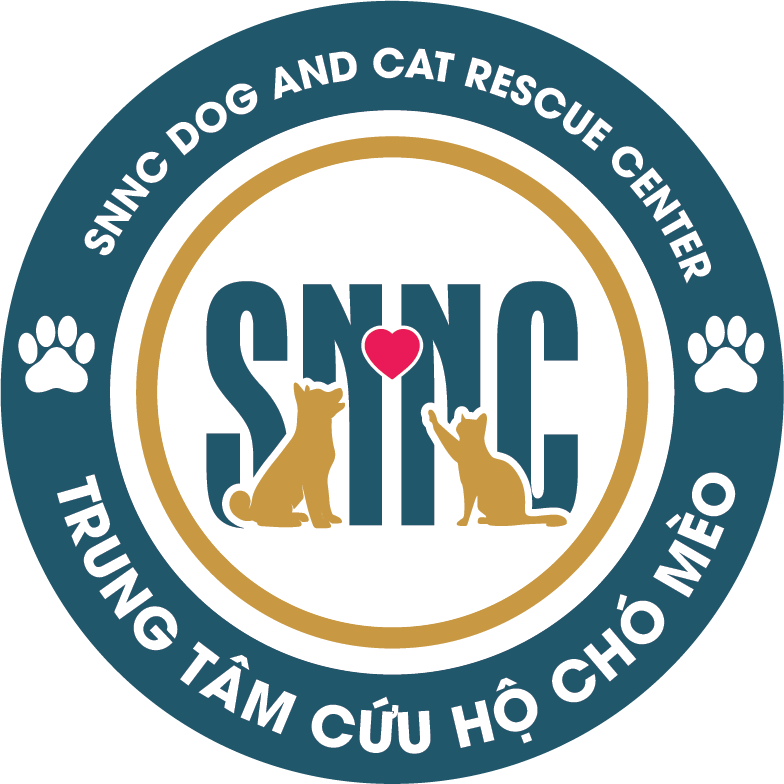 Trung tâm cứu hộ chó mèo SNNC - Ảnh 1.
