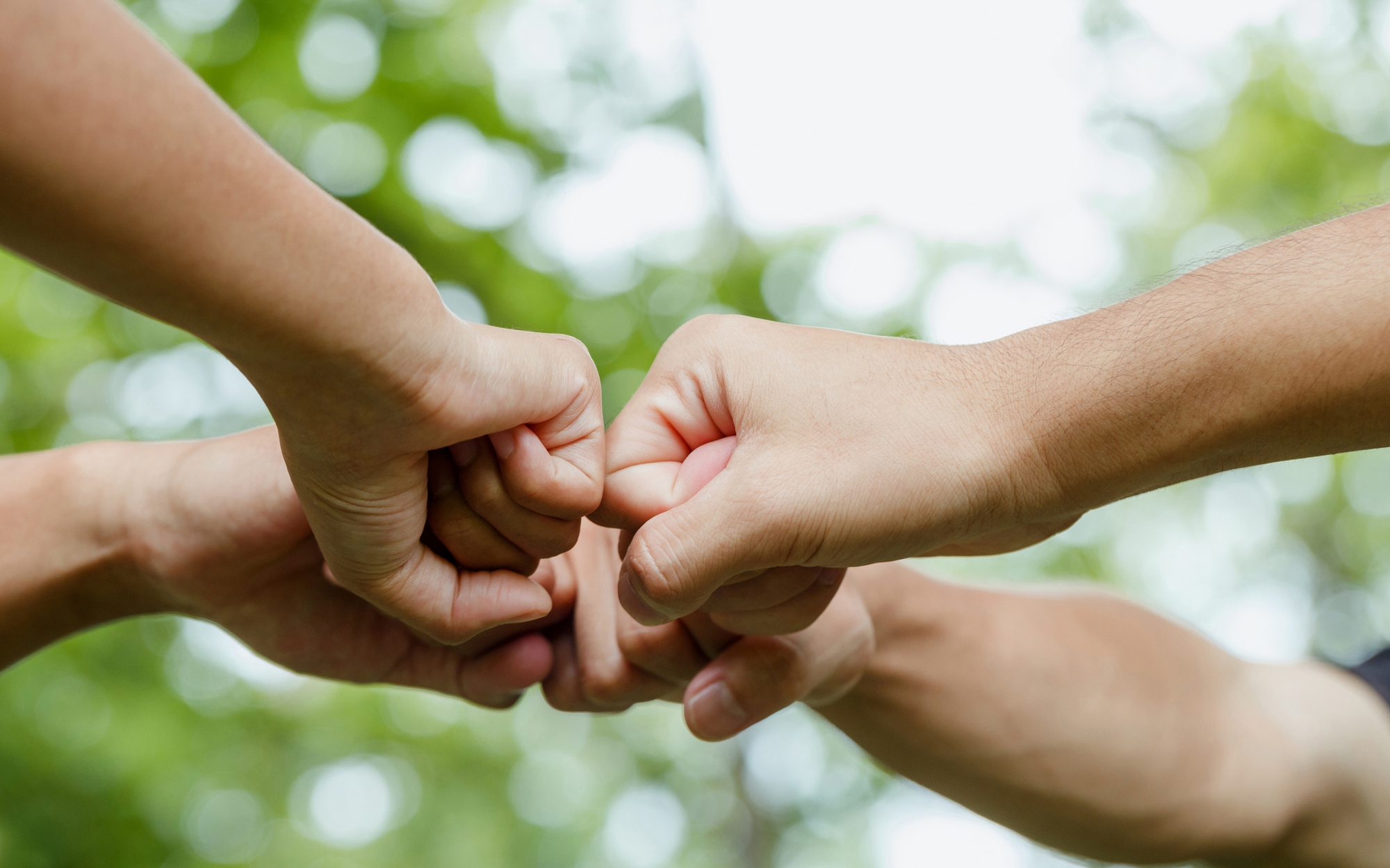 Sẵn sàng hành động: Triển khai, đánh giá dự án và truyền thông tác động