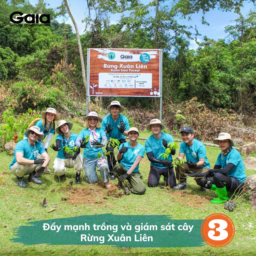 S.H.E Save Her Earth - Ảnh 5.