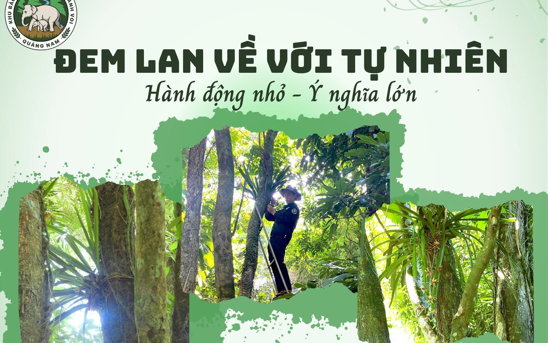 Đề cử mới Đem Hoa Lan về rừng tự nhiên