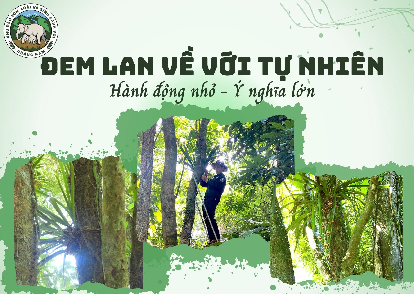 Đem Hoa Lan về rừng tự nhiên - Ảnh 1. Đem Hoa Lan về rừng tự nhiên - Ảnh 1.