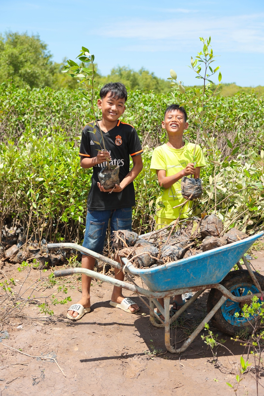 GIAO HƯỞNG RỪNG XANH- Ảnh 17.