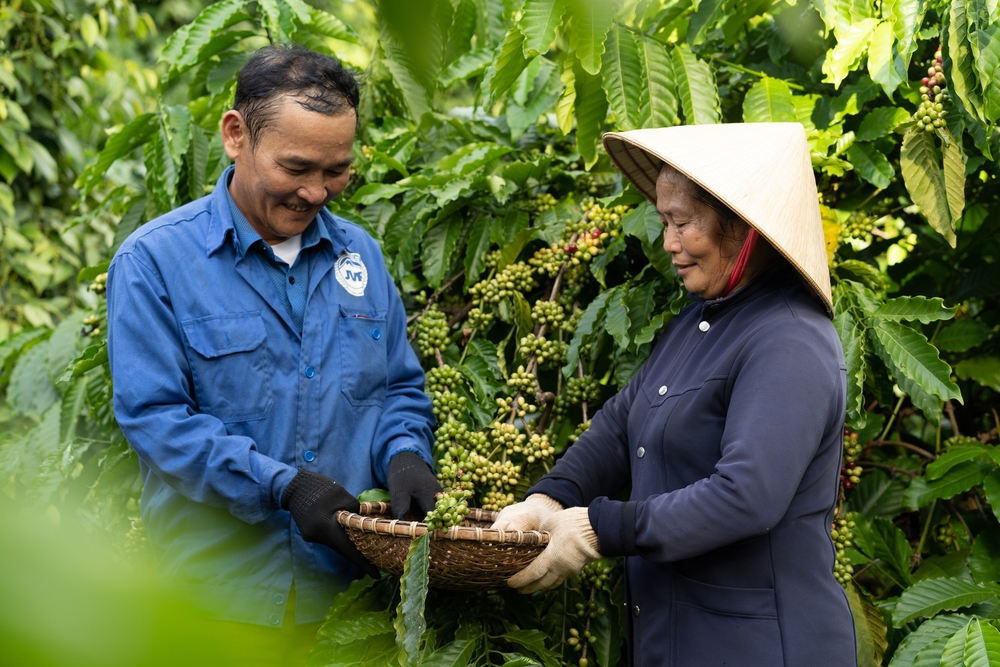 NESCAFÉ Plan - Thúc đẩy nông nghiệp tái sinh vì tương lai bền vững và sự thịnh vượng của cộng đồng nông dân trồng cà phê- Ảnh 18.