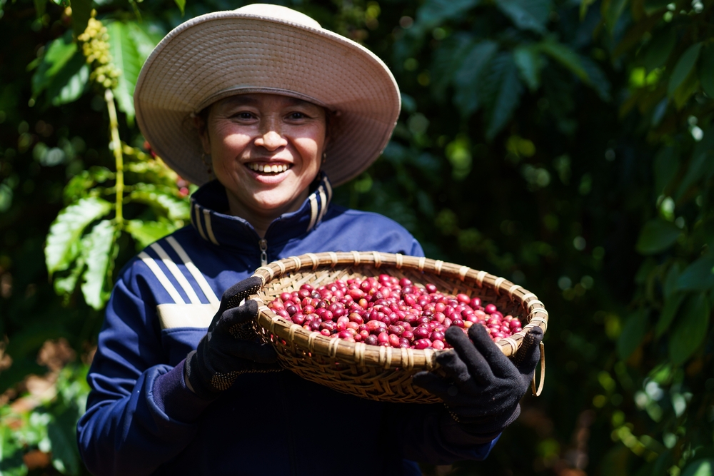 NESCAFÉ Plan - Thúc đẩy nông nghiệp tái sinh vì tương lai bền vững và sự thịnh vượng của cộng đồng nông dân trồng cà phê- Ảnh 9.