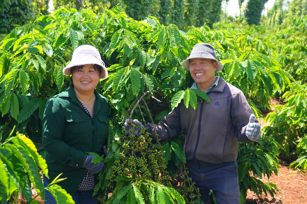 NESCAFÉ Plan - Thúc đẩy nông nghiệp tái sinh vì tương lai bền vững và sự thịnh vượng của cộng đồng nông dân trồng cà phê- Ảnh 20.