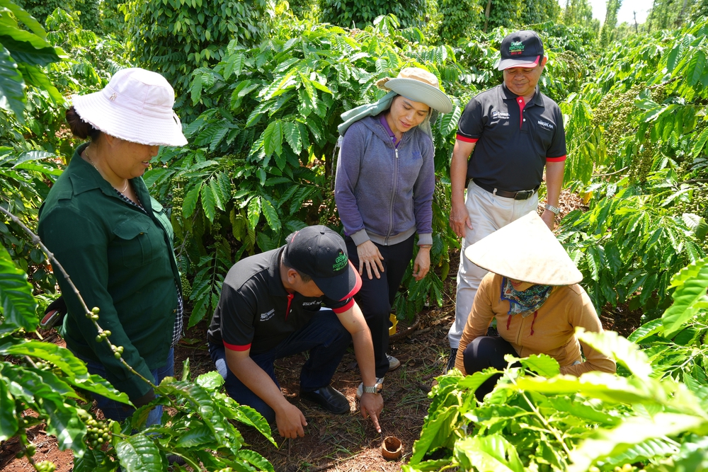 NESCAFÉ Plan - Thúc đẩy nông nghiệp tái sinh vì tương lai bền vững và sự thịnh vượng của cộng đồng nông dân trồng cà phê- Ảnh 5.