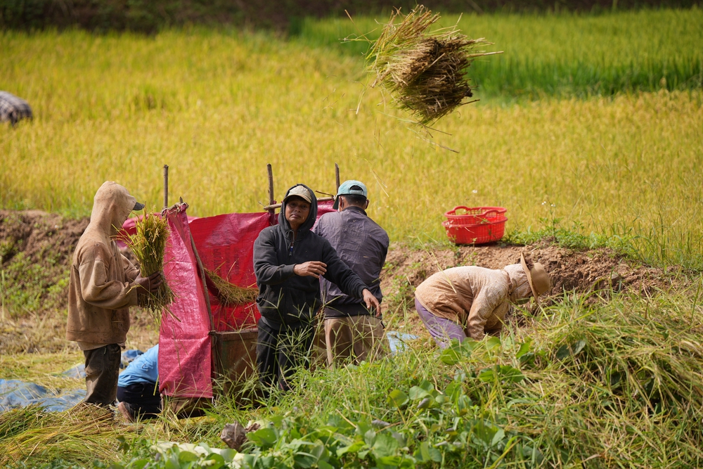 Bảo tồn ngôn ngữ và văn hóa dân tộc Bahnar- Ảnh 20.