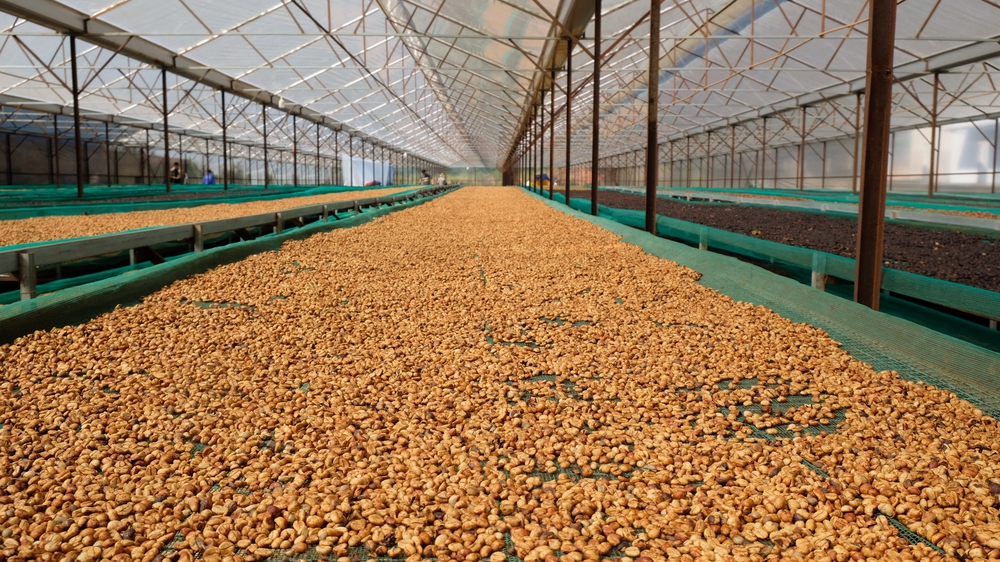 Nguồn cung ứng Bền Vững và từ địa phương- Ảnh 4.