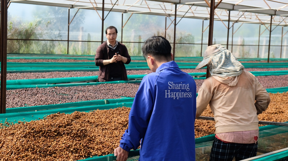 Nguồn cung ứng Bền Vững và từ địa phương- Ảnh 3.