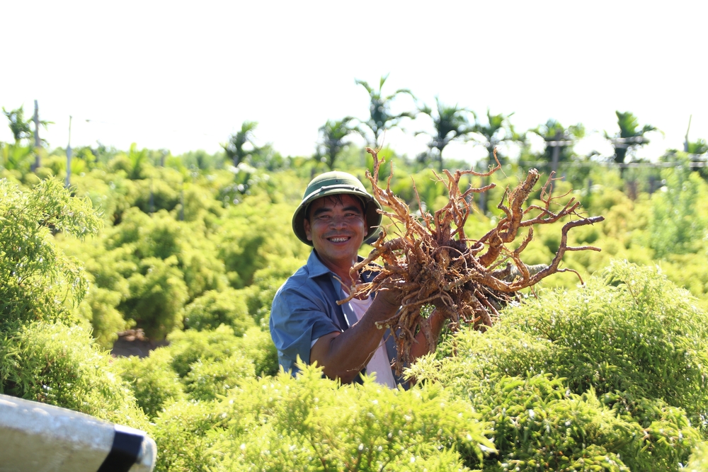 Dự án Traphaco GreenPlan - Mở rộng những miền xanh- Ảnh 14.