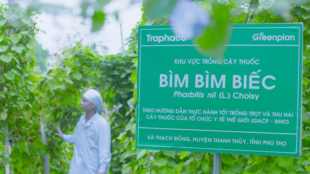 Dự án Traphaco GreenPlan - Mở rộng những miền xanh- Ảnh 8.