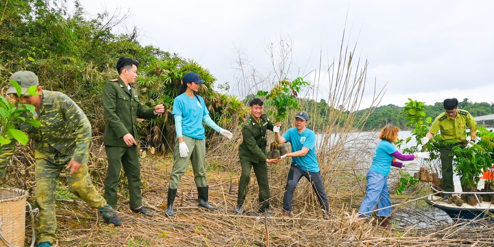 Góp 1 cây là góp rừng- Ảnh 16.