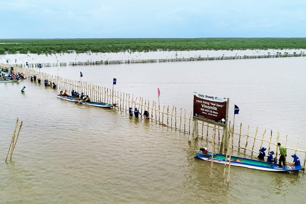 Góp 1 cây là góp rừng- Ảnh 14.