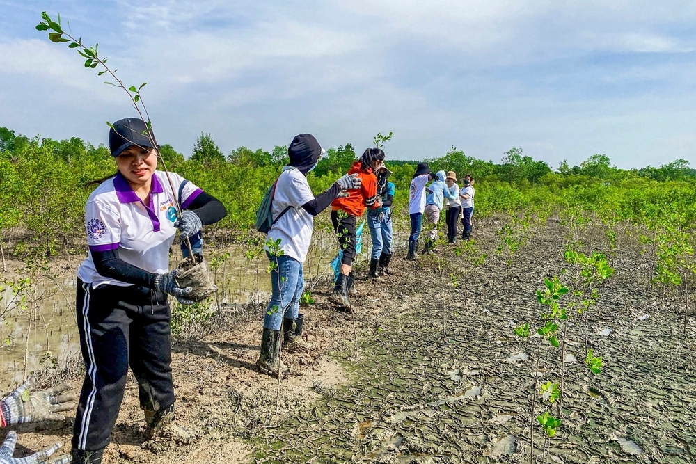 Góp 1 cây là góp rừng- Ảnh 27.