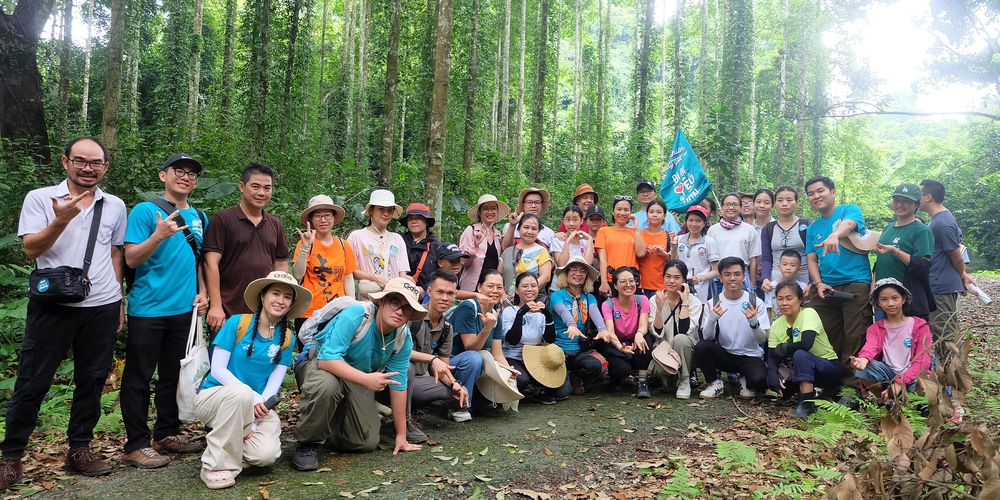 Góp 1 cây là góp rừng- Ảnh 3.