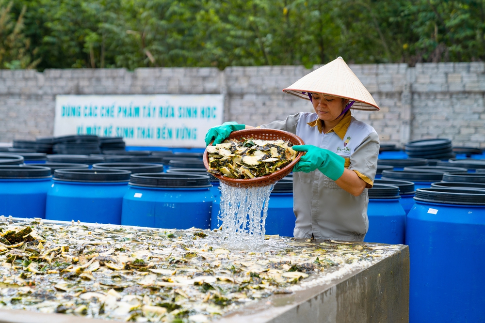 Sản phẩm tẩy rửa từ vỏ dứa Fuwa3e- Ảnh 5.