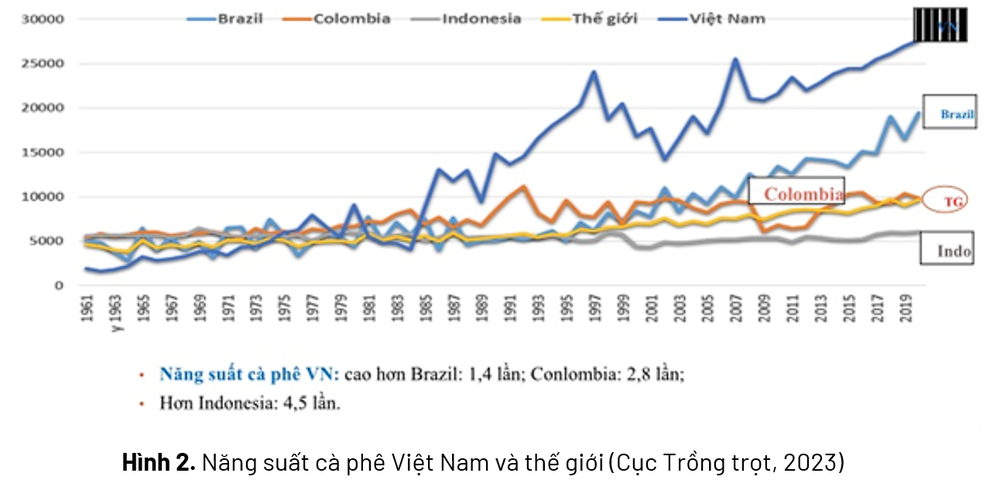 Canh tác cà phê thông minh thích ứng với biến đổi khí hậu- Ảnh 4. Canh tác cà phê thông minh thích ứng với biến đổi khí hậu- Ảnh 4.