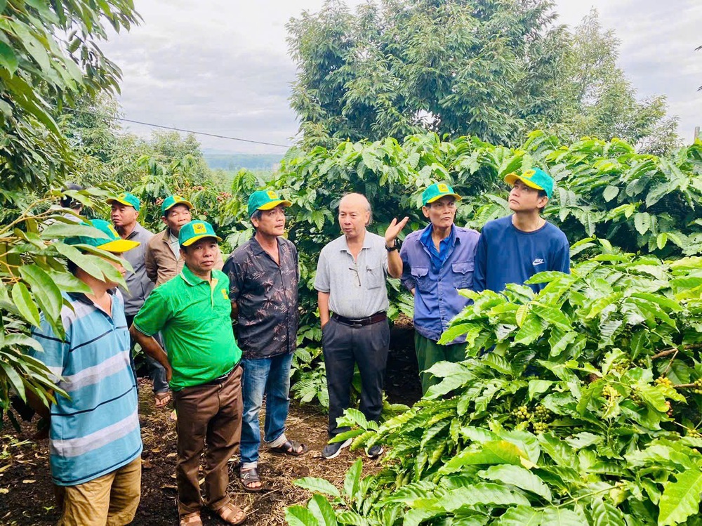 Canh tác cà phê thông minh thích ứng với biến đổi khí hậu- Ảnh 9. Canh tác cà phê thông minh thích ứng với biến đổi khí hậu- Ảnh 9.