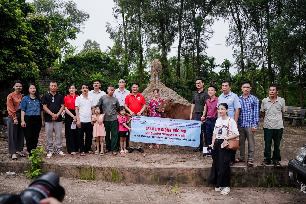 Building Dreams for Children- Ảnh 22. Building Dreams for Children- Ảnh 22.