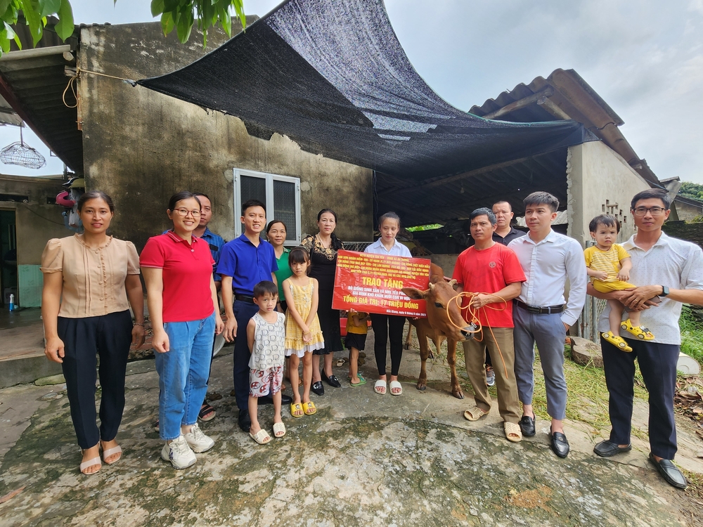 Building Dreams for Children- Ảnh 23. Building Dreams for Children- Ảnh 23.