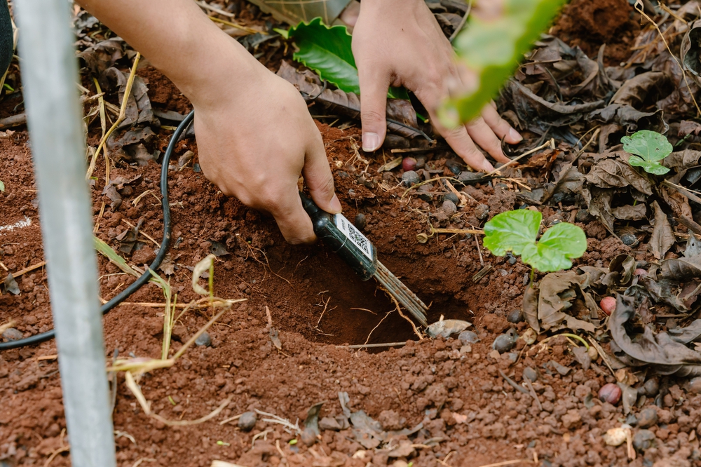 Enfarm Soil Nutrition Monitoring System- Ảnh 6. Enfarm Soil Nutrition Monitoring System- Ảnh 6.