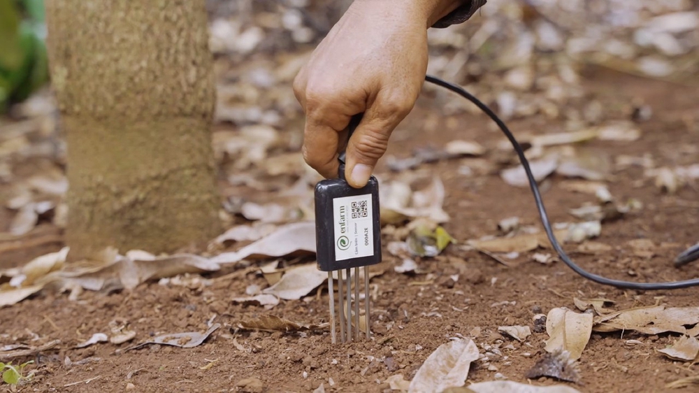 Enfarm Soil Nutrition Monitoring System- Ảnh 13. Enfarm Soil Nutrition Monitoring System- Ảnh 13.
