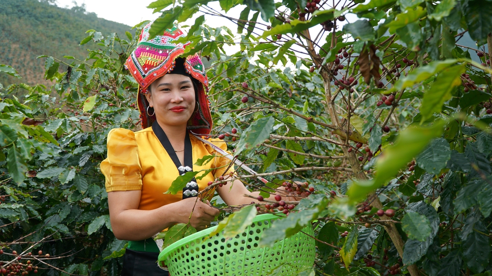 Nông Nghiệp Xanh: Hành Trình Bền Vững Cùng Phúc Sinh- Ảnh 3.