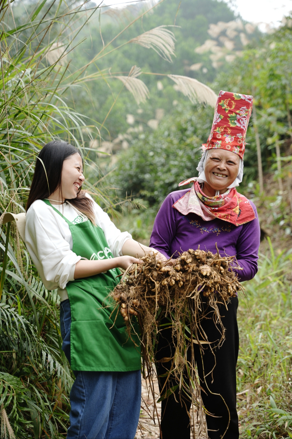 Thương hiệu Cỏ Cây Hoa Lá- Ảnh 19. Thương hiệu Cỏ Cây Hoa Lá- Ảnh 19.