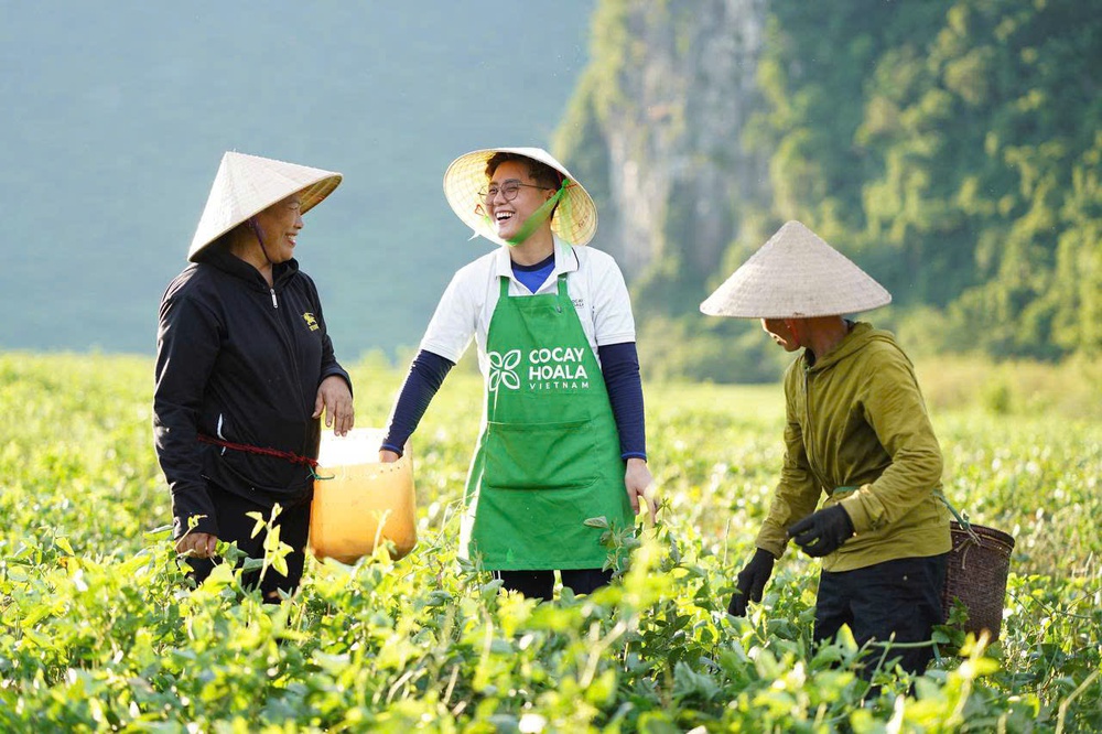 Thương hiệu Cỏ Cây Hoa Lá- Ảnh 18. Thương hiệu Cỏ Cây Hoa Lá- Ảnh 18.
