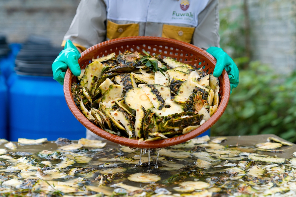 Fuwa3e (Enzyme Cleaner)- Ảnh 6. Fuwa3e (Enzyme Cleaner)- Ảnh 6.