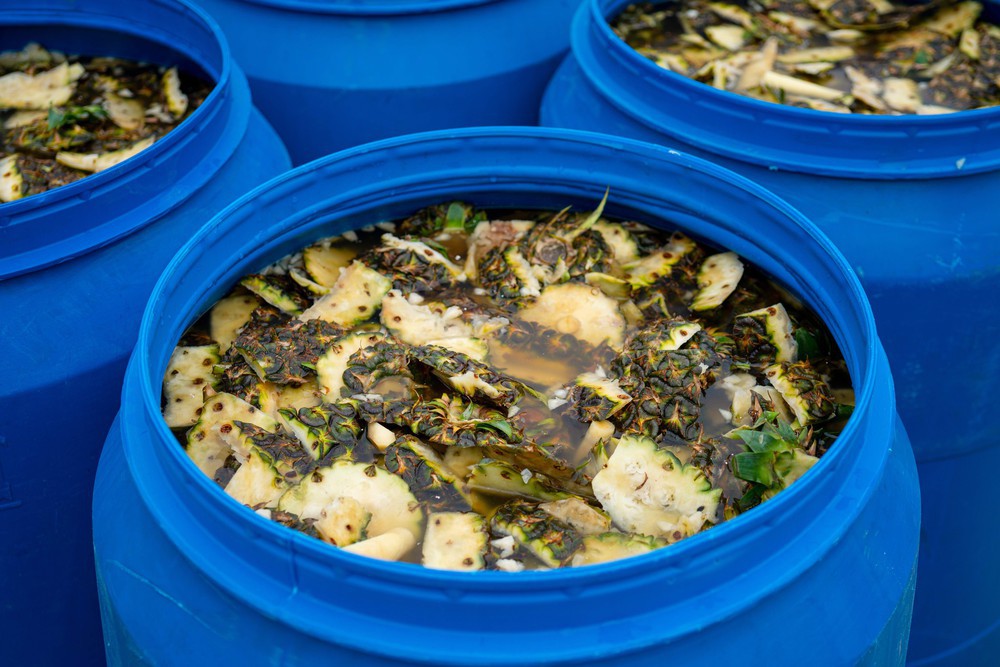 Fuwa3e (Enzyme Cleaner)- Ảnh 8. Fuwa3e (Enzyme Cleaner)- Ảnh 8.